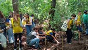 Com chegada das chuvas, Amma prepara solo e projeta plantio de 25 mil árvores em Goiânia