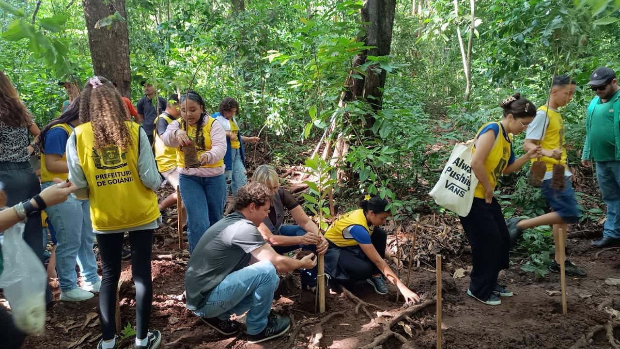 Com chegada das chuvas, Amma prepara solo e projeta plantio de 25 mil árvores em Goiânia