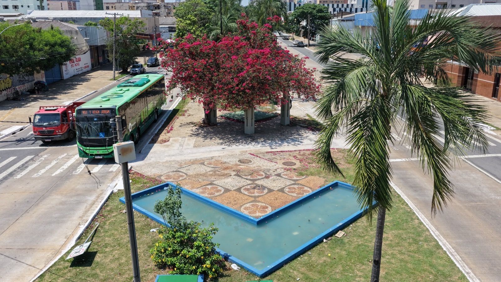 Comurg planta 15,4 mil mudas de flores e substitui árvores secas no Centro de Goiânia