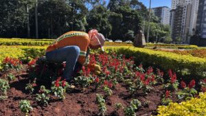 Comurg retira ervas daninhas de 42 locais de Goiânia nesta semana