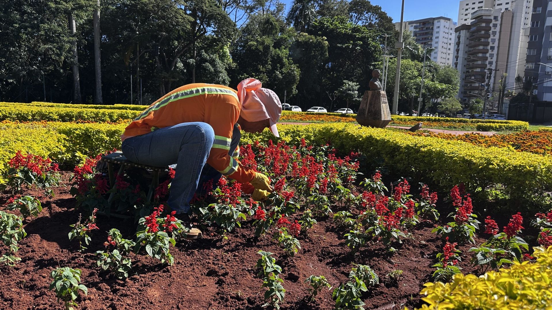 Comurg retira ervas daninhas de 42 locais de Goiânia nesta semana