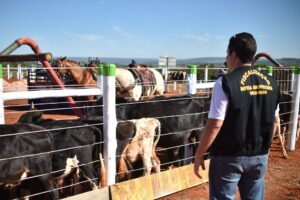 GDF amplia ações de defesa sanitária animal com nova equipe gestora