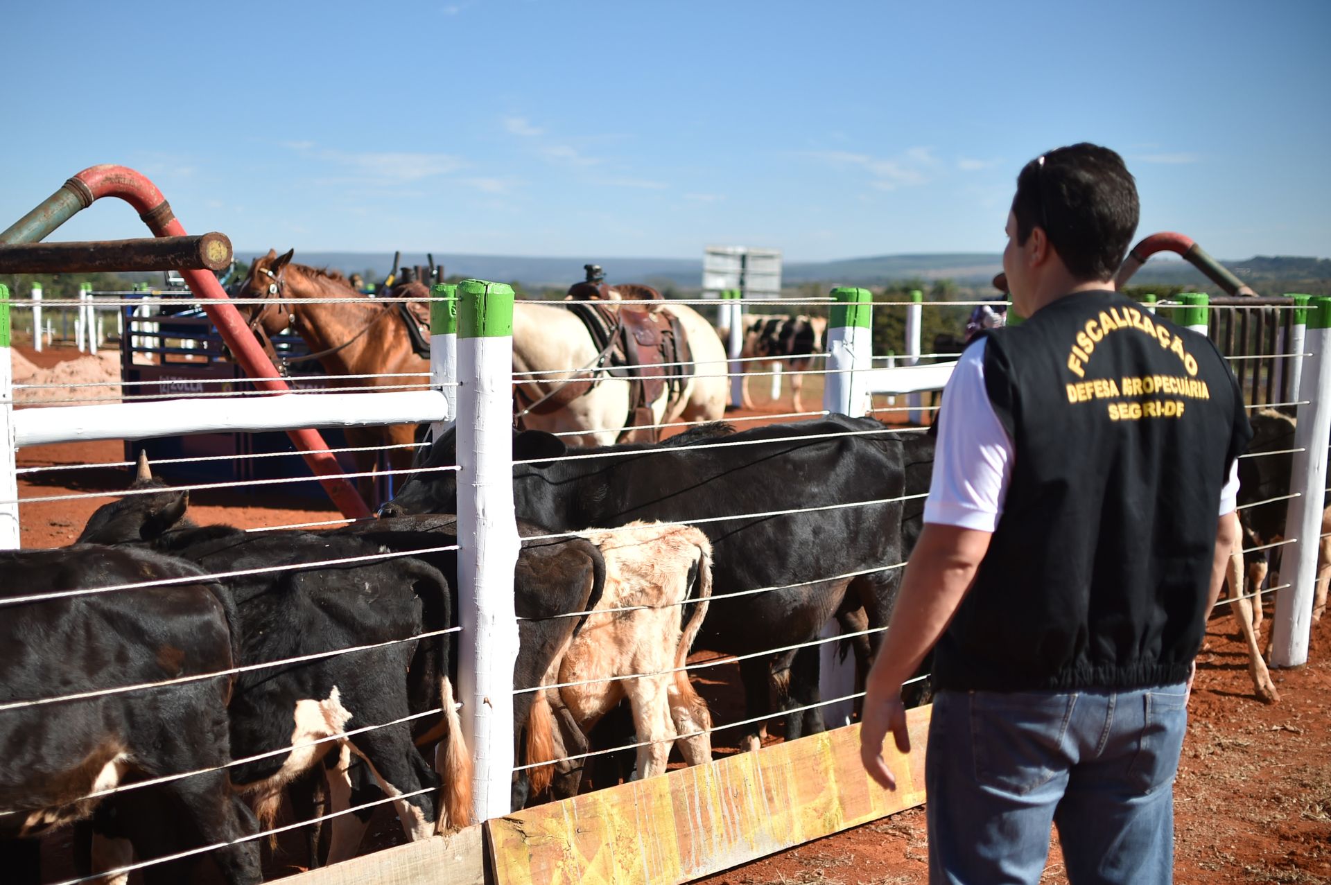 GDF amplia ações de defesa sanitária animal com nova equipe gestora