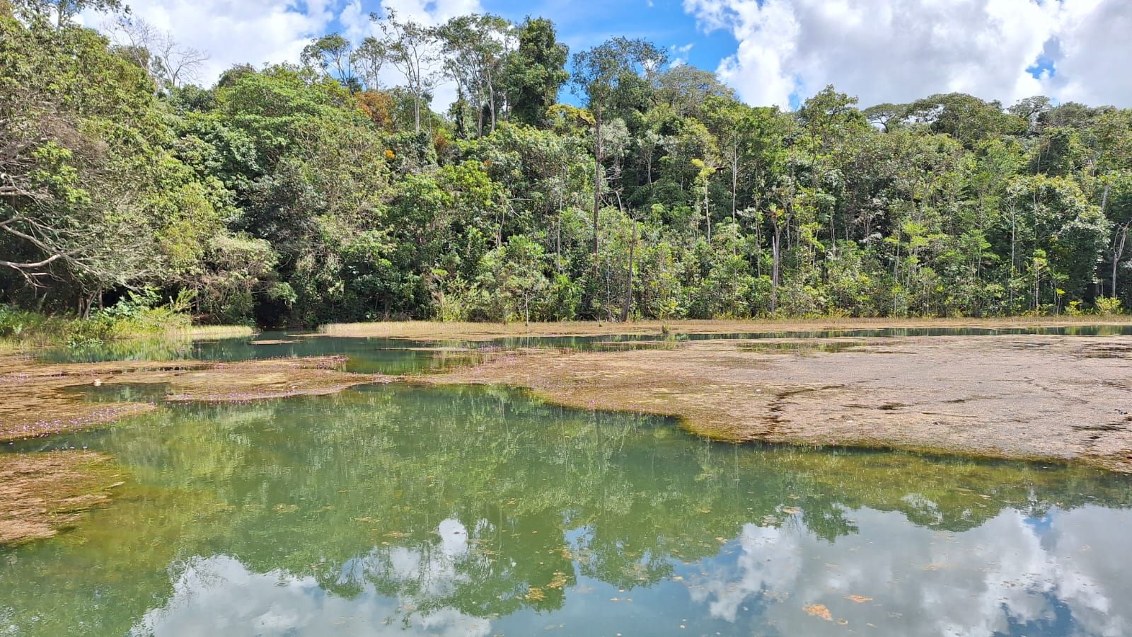 GDF prorroga prazo para apresentação de propostas para edital de projetos ambientais