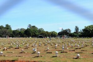 Mais de 600 mil pessoas devem visitar os cemitérios do DF no Dia de Finados